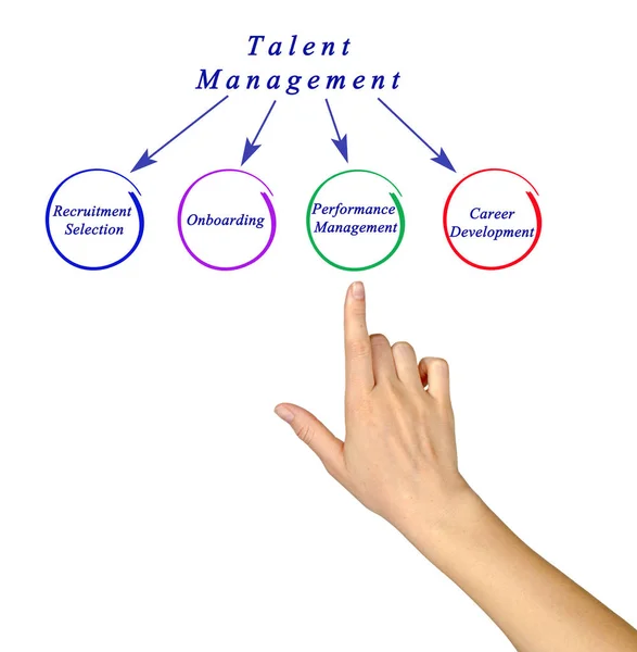 Diagram över Talent Management — Stockfoto