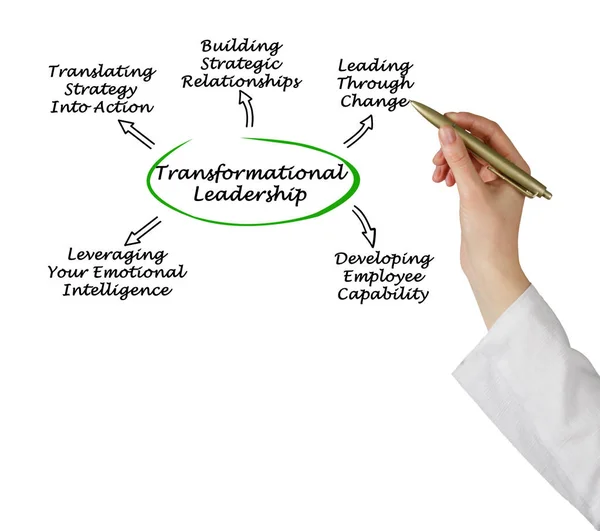 Diagram of Transformational Leadership — Stock Photo, Image