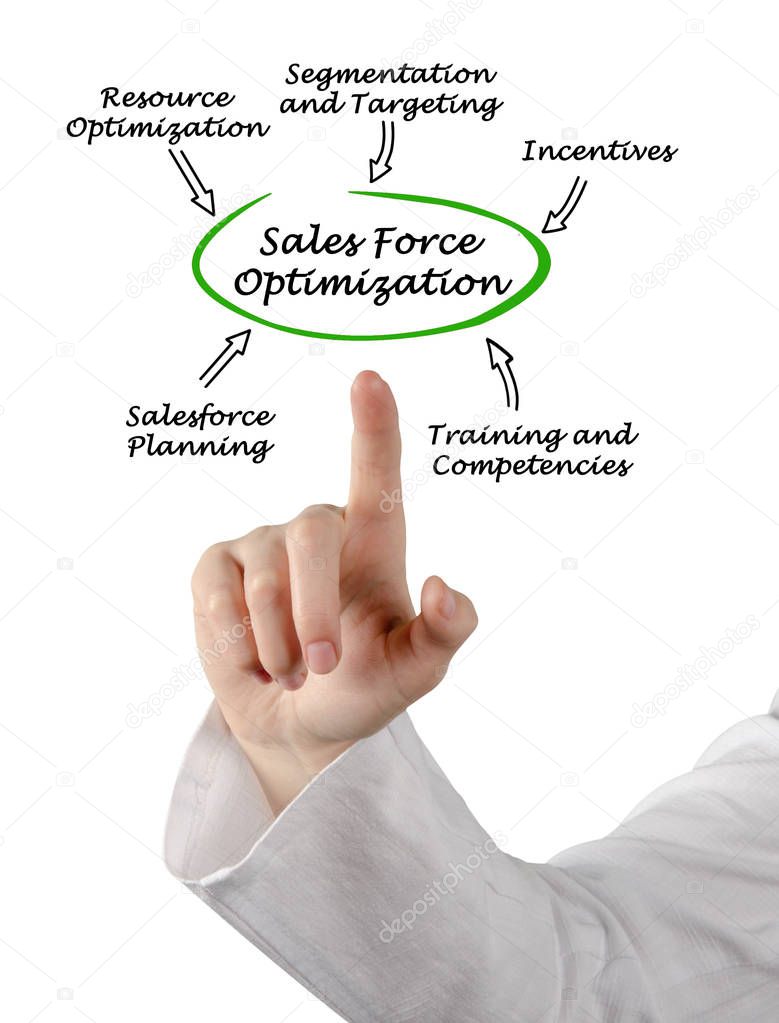 Diagram of Sales Force Optimization