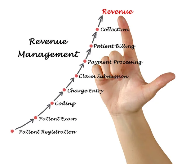 Diagram över Revenue Management — Stockfoto