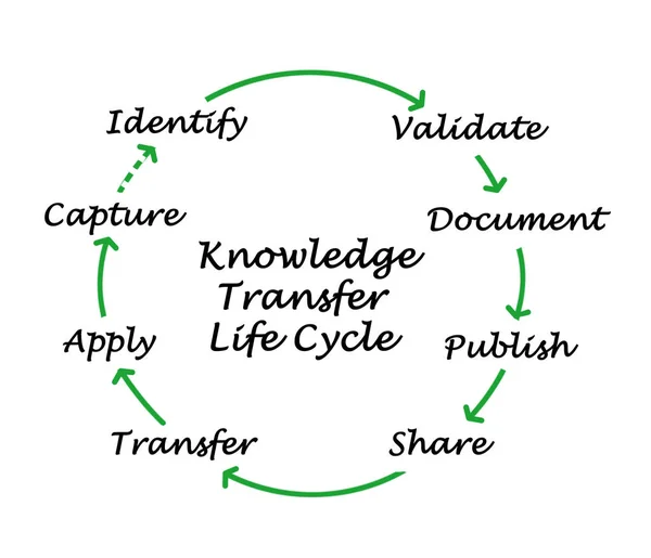 Ciclo de vida de transferencia de conocimiento — Foto de Stock