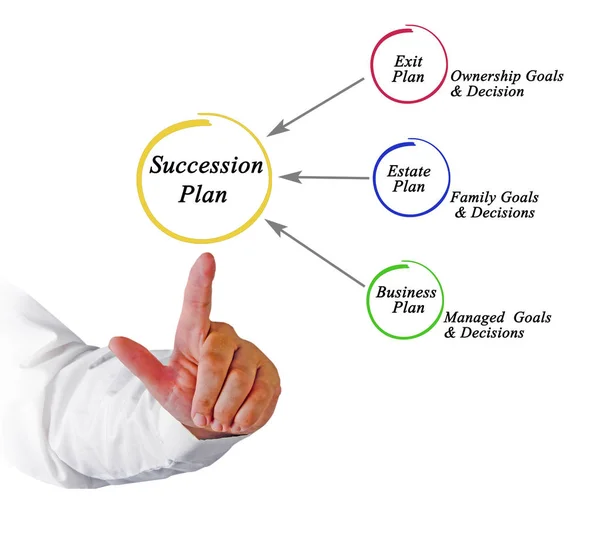 Diagram över Succession plan — Stockfoto