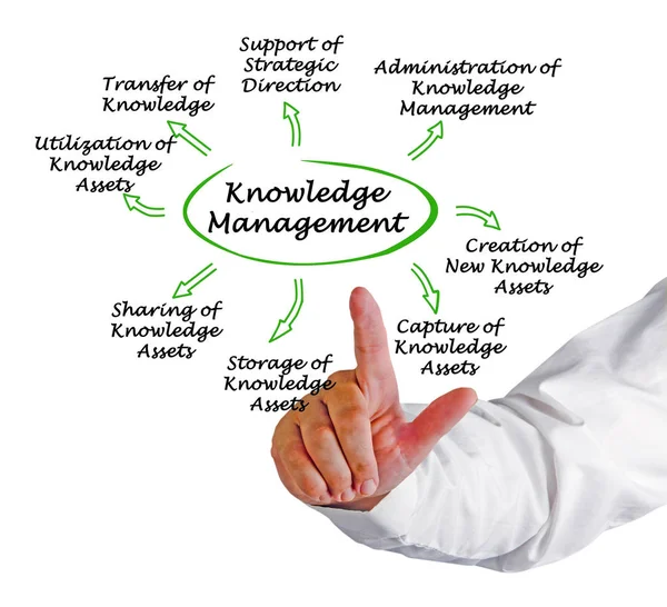 Diagramm der Wissensverwaltung — Stockfoto