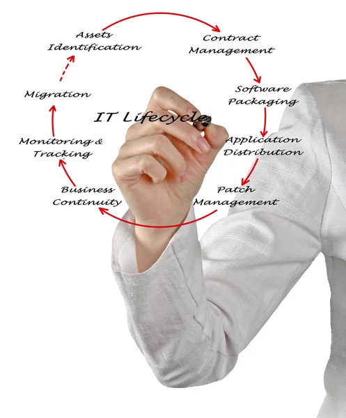 Diagram of IT Lifecycle Management — Stock Photo, Image