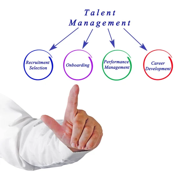 Diagramm des Talent Managements — Stockfoto