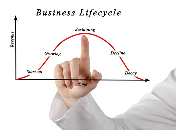 Schemat cyklu życia firmy — Zdjęcie stockowe