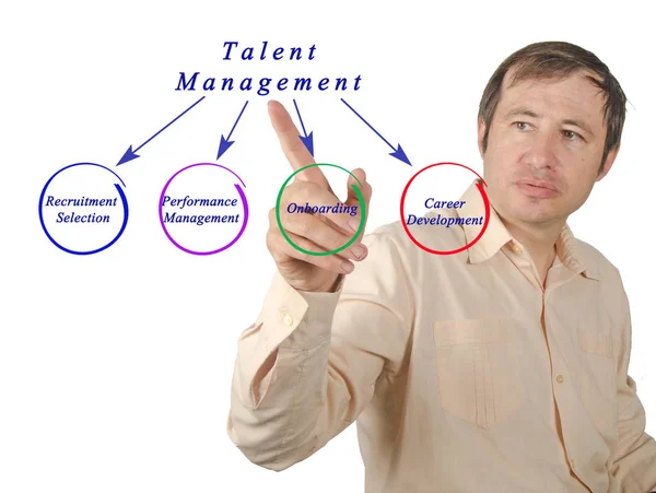 Diagram of Talent Management