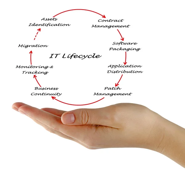 Diagram över det Lifecycle Management — Stockfoto