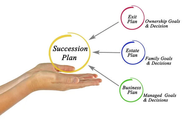 Diagrama do plano de sucessão — Fotografia de Stock