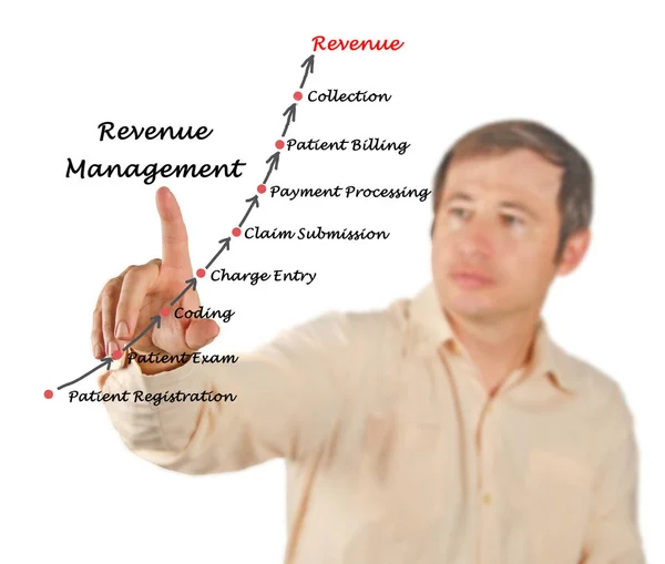 Diagrama de Gestión de Ingresos — Foto de Stock