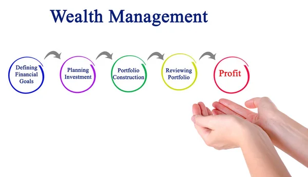 Process of Wealth Management — Stock Photo, Image