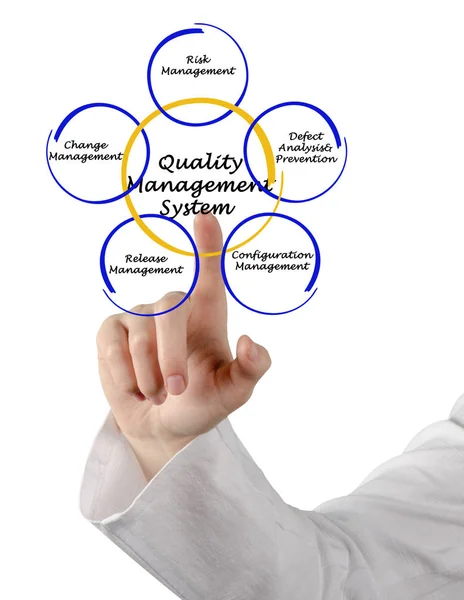Diagramm des Qualitätsmanagementsystems — Stockfoto