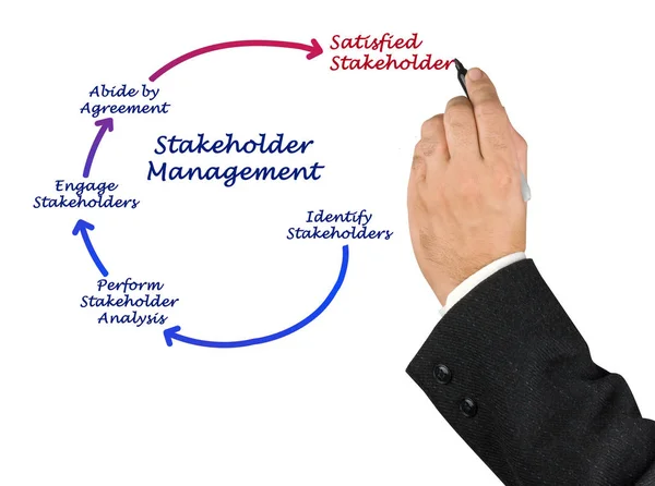 Diagram van Stakeholder Management — Stockfoto