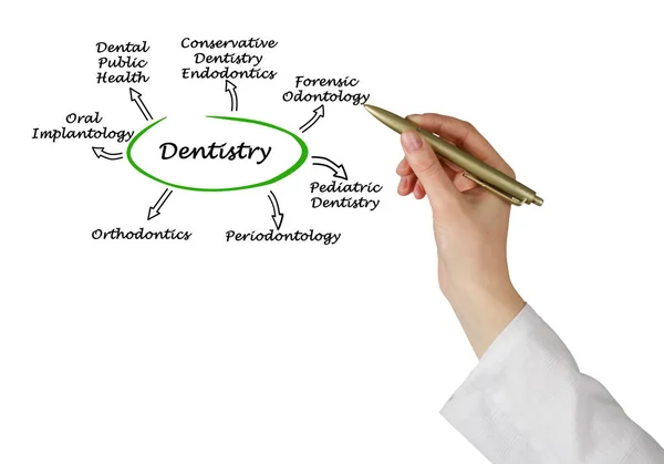 Darstellung von Diagramm der Zahnmedizin — Stockfoto
