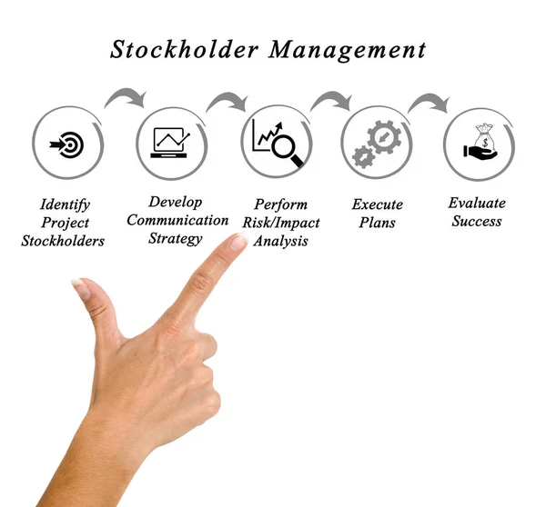 Schéma řízení akcionář — Stock fotografie