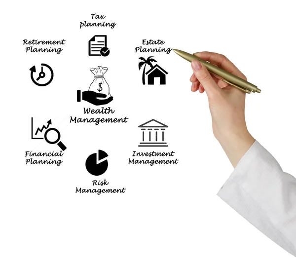 Diagram över Wealth management — Stockfoto