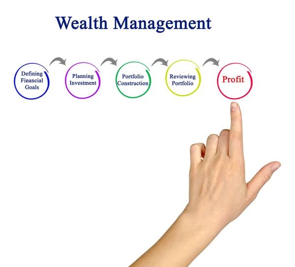 财富管理的过程 — 图库照片