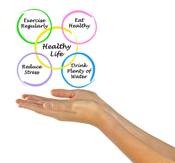 Diagrama de la vida sana — Foto de Stock