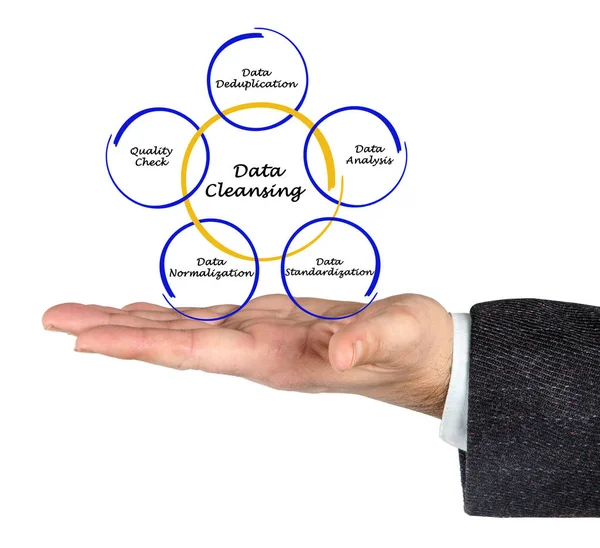 Diagram of Data Cleansing — Stock Photo, Image