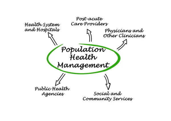 Diagrama de Gestión de la Salud de la Población — Foto de Stock