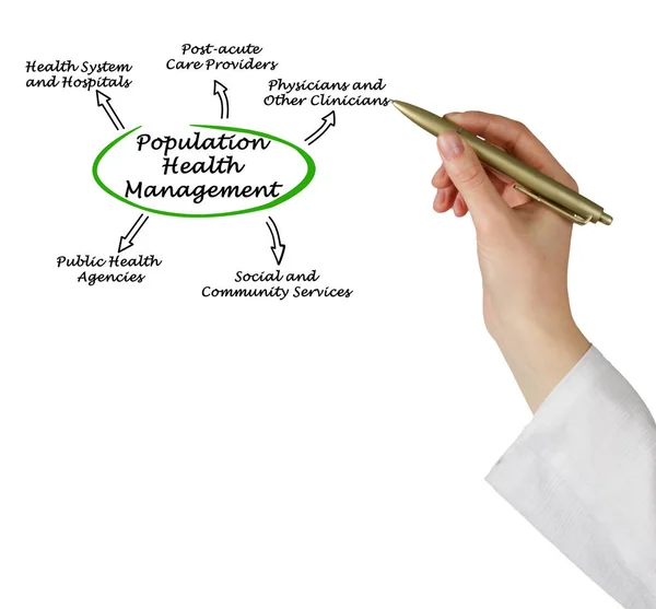 Diagrama de Gestión de la Salud de la Población — Foto de Stock