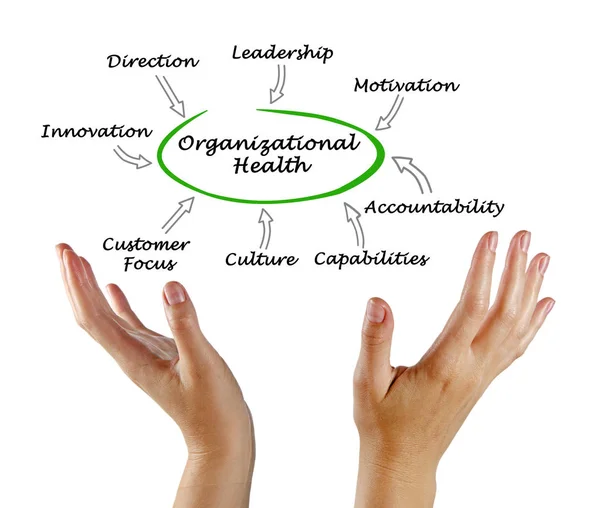 Diagram of Organizational Health — Stock Photo, Image
