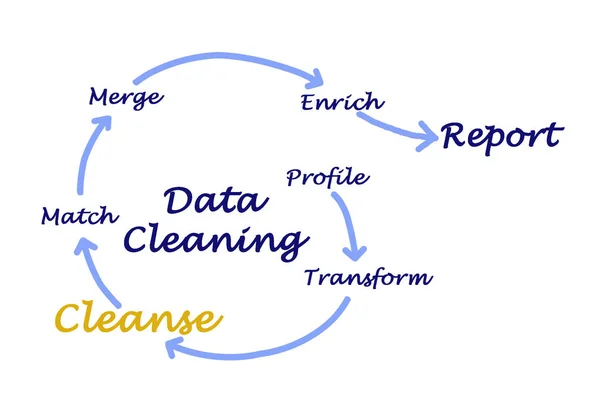 Diagram över Data rengöring — Stockfoto