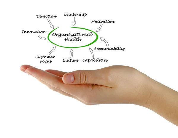 Diagram of Organizational Health — Stock Photo, Image