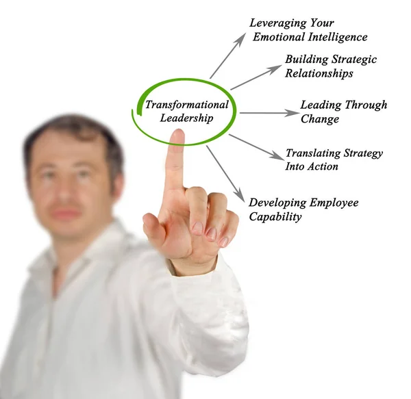 Presenting Diagram of Transformational Leadership — Stock Photo, Image