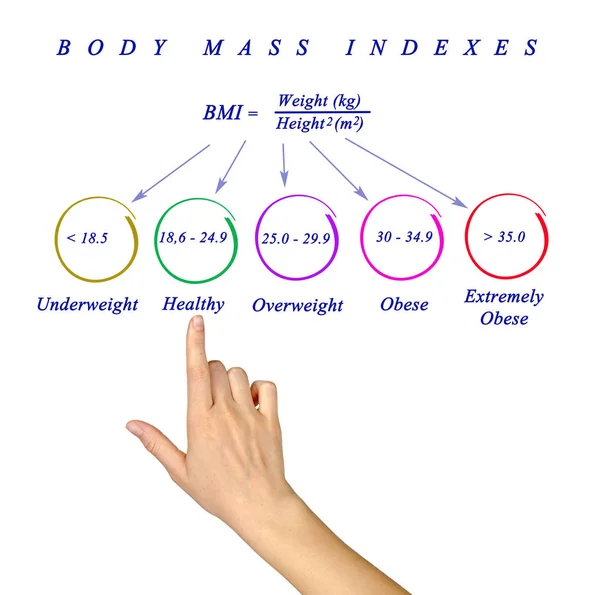 Diagram of Body Max Index