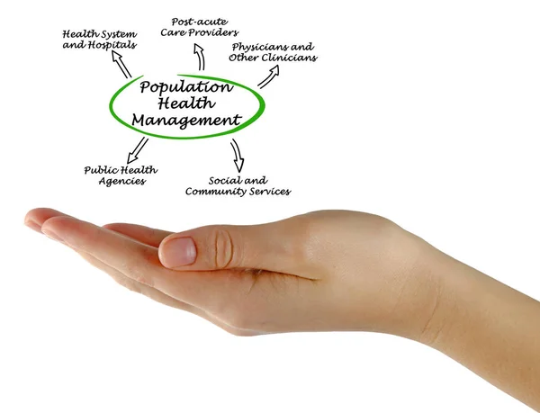 Diagramme de la gestion de la santé des populations — Photo