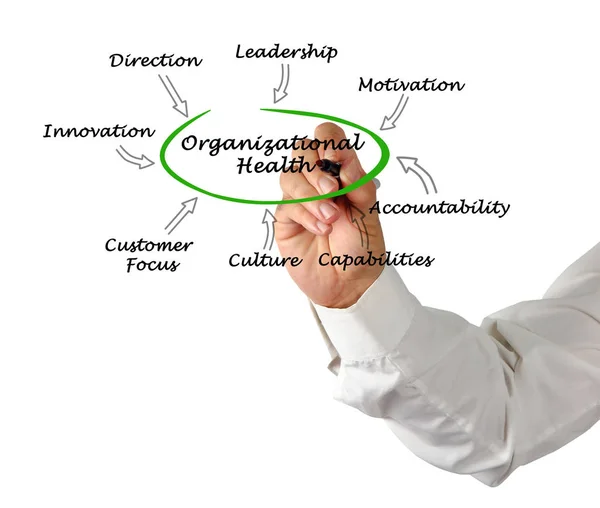 Diagram över organisatoriska hälsa — Stockfoto