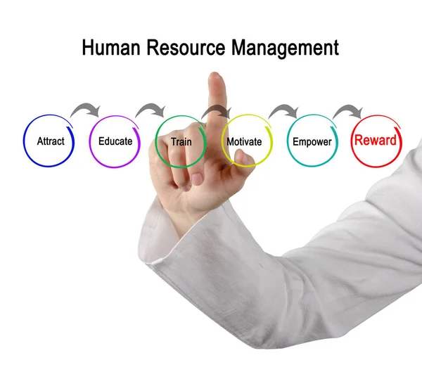 Diagram of human resource management — Stock Photo, Image