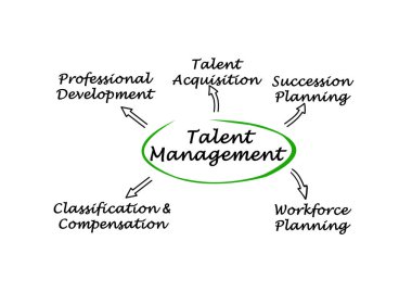 Diyagram yetenek yönetimi