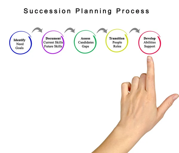 Diagrama do Processo de Planejamento de Sucessão — Fotografia de Stock