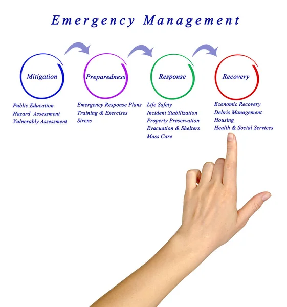 Presenting Diagram of Emergency Management process