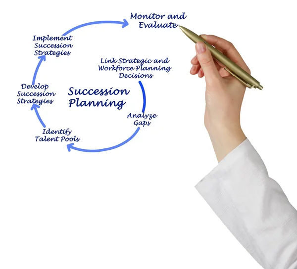 Diagram of Succession Planning — Stock Photo, Image