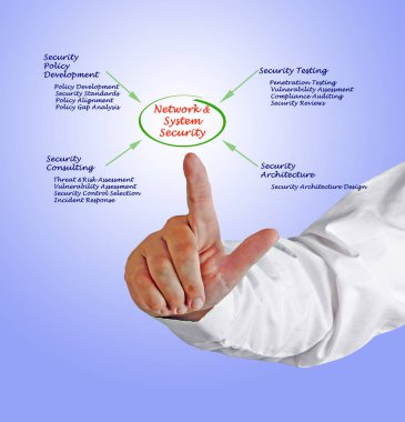 Ağ ve sistem güvenliğini diyagramı