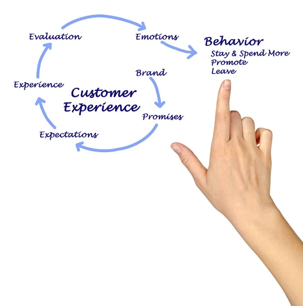 Диаграмма опыта работы с клиентами — стоковое фото