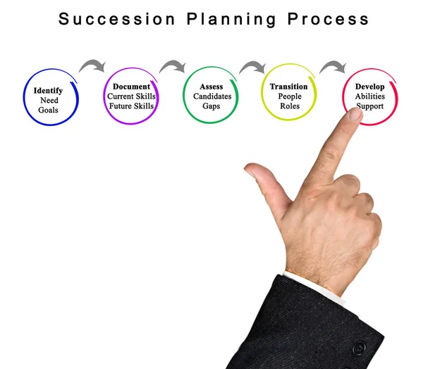 Diagram of  Succession Planning Process