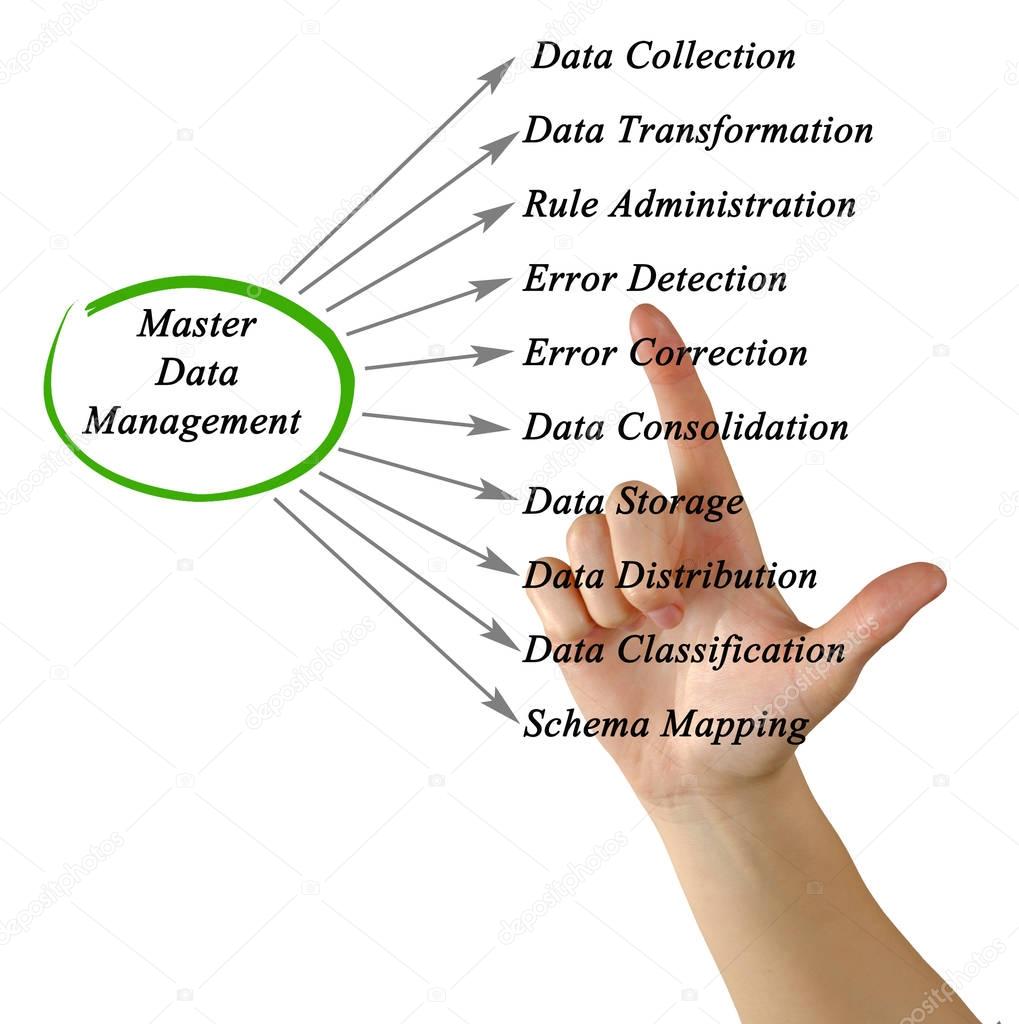 diagram of Master Data Management
