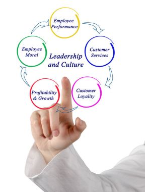 Liderlik ve kültür diyagramı
