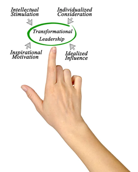 Diagram över Transformational Leadership — Stockfoto
