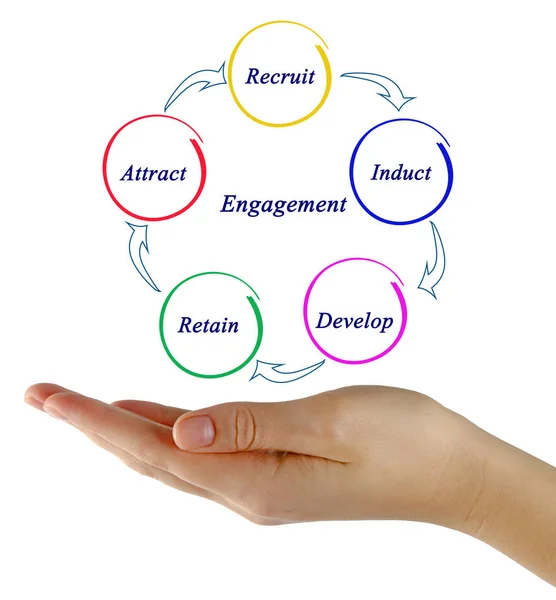 Diagrama de BPO — Foto de Stock