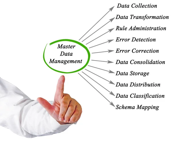 Diagram van Master Data Management — Stockfoto