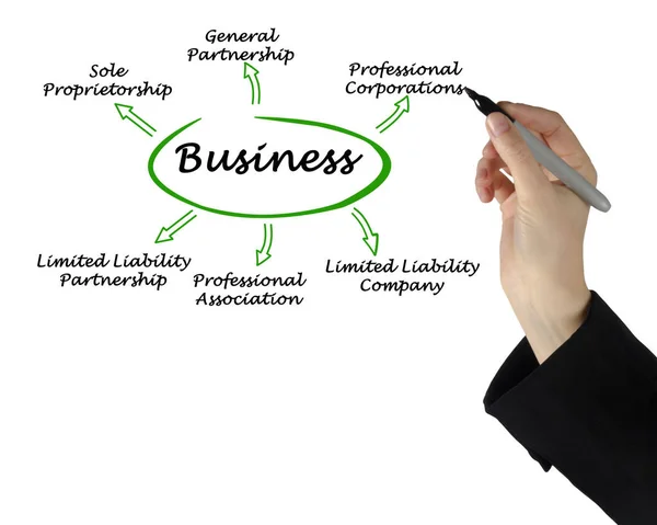 Diagram of Types of business — Stock Photo, Image