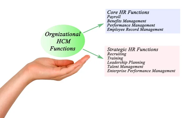 Schemat funkcji organizacyjnej Hcm — Zdjęcie stockowe