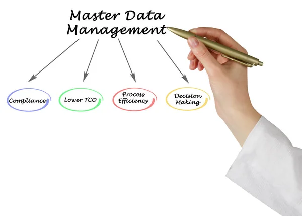 Diagrama de Gestão de Dados Mestres — Fotografia de Stock