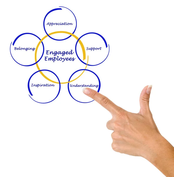 Diagramme de l'employé engagé — Photo