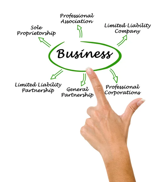 Diagram of Types of business — Stock Photo, Image